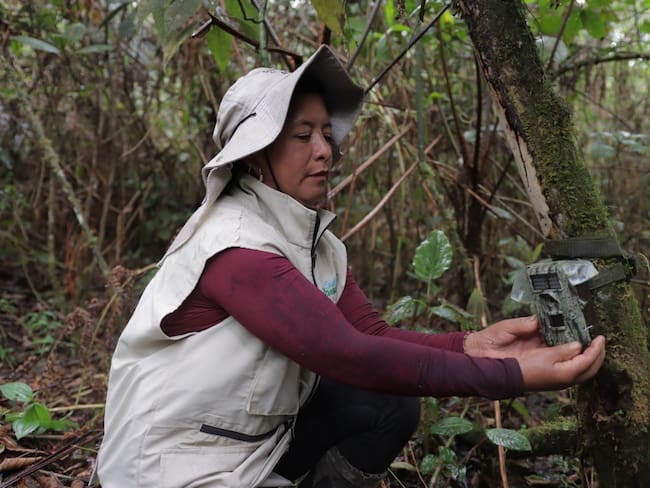 140 se encuentran instaladas en el Huila.