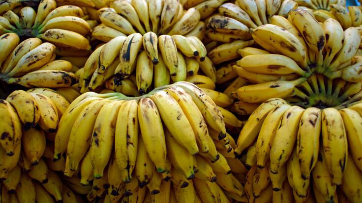 Bananeros hacen alerta ante petición de la UE de pagar a menor precio el fruto colombiano