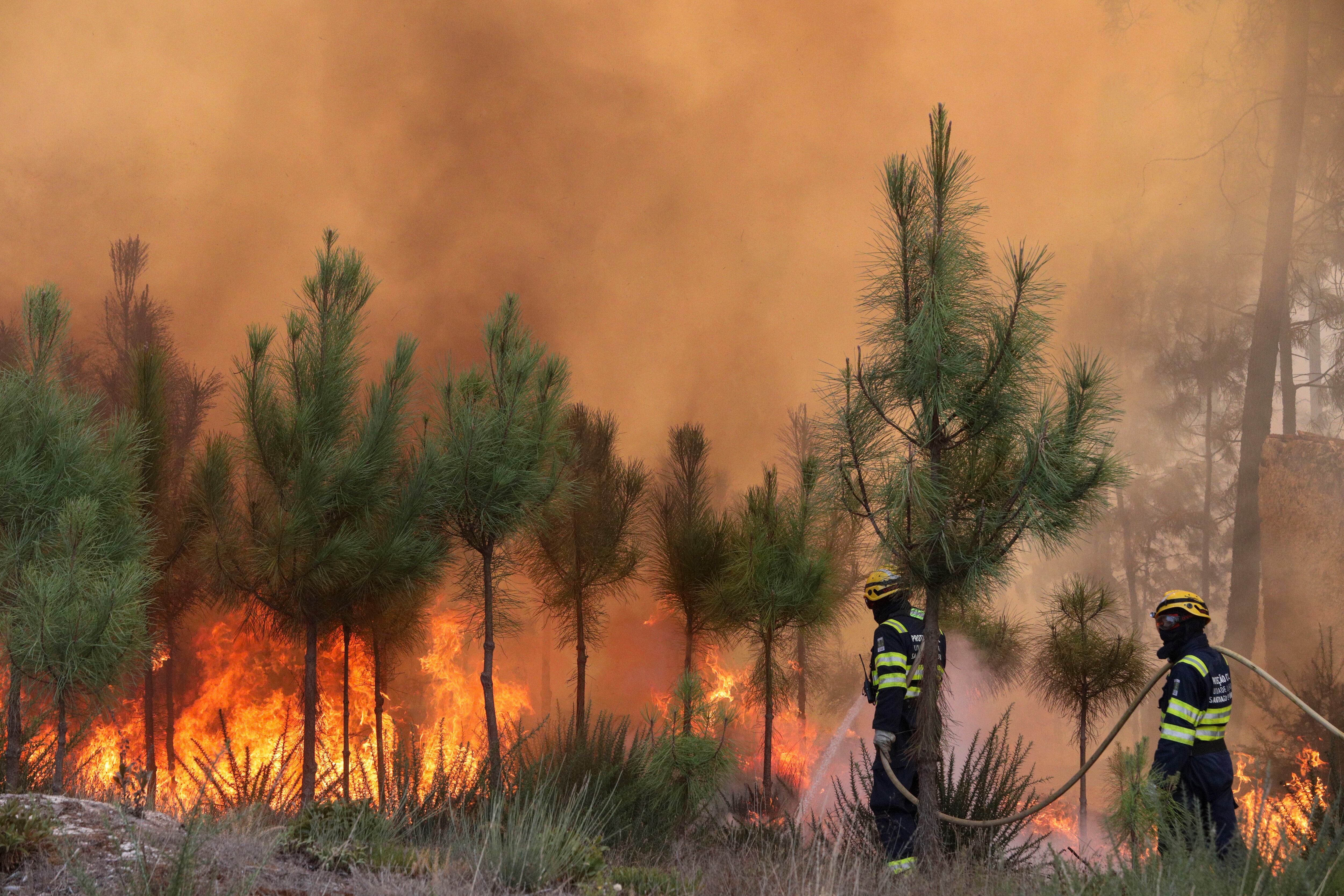 CASAL DE MUNDINHO (PORTUGAL), 18/09/2024.- Varios bomberos trabajan en las labores de extinción de los incendios registrados en Portugal, este miércoles en Casal de Mundinho, ubicado en la comarca lusa de Mangualde (región Centro). Un equipo de 248 efectivos de la Unidad Militar de Emergencias (UME) de España llegó este miércoles a Portugal para sumarse a las labores de combate contra la ola de incendios forestales que asola el país desde el fin de semana y que ha provocado siete muertes.EFE/ Carlos Garcia