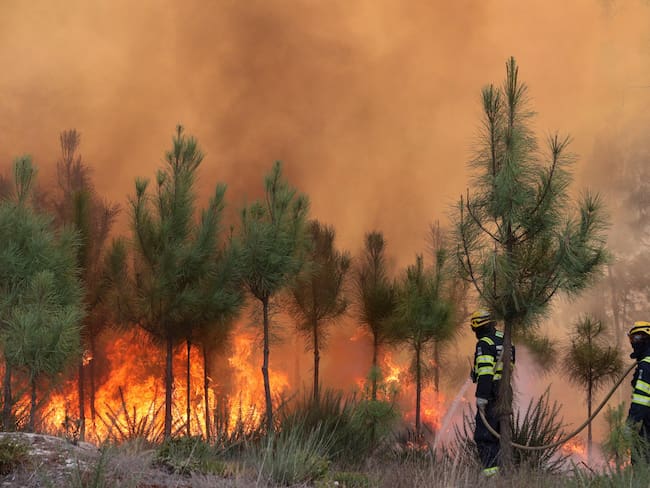 CASAL DE MUNDINHO (PORTUGAL), 18/09/2024.- Varios bomberos trabajan en las labores de extinción de los incendios registrados en Portugal, este miércoles en Casal de Mundinho, ubicado en la comarca lusa de Mangualde (región Centro). Un equipo de 248 efectivos de la Unidad Militar de Emergencias (UME) de España llegó este miércoles a Portugal para sumarse a las labores de combate contra la ola de incendios forestales que asola el país desde el fin de semana y que ha provocado siete muertes.EFE/ Carlos Garcia