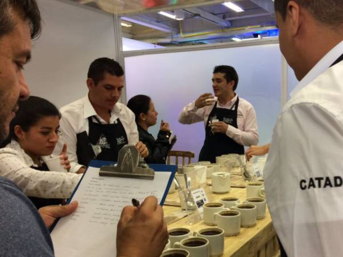 Llamado para no sembrar variedades susceptibles a la roya