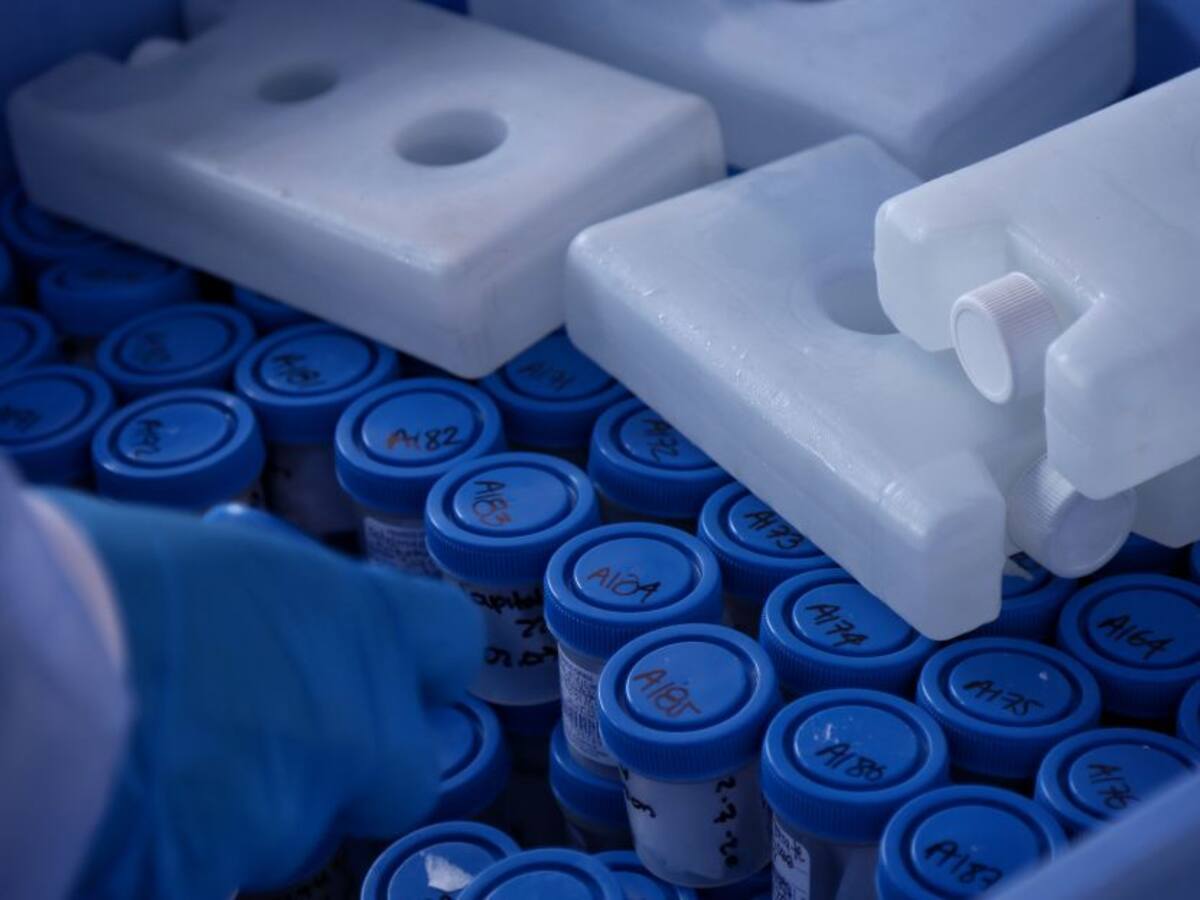 “Las pruebas de anticuerpos solo se deben utilizar para la investigación”