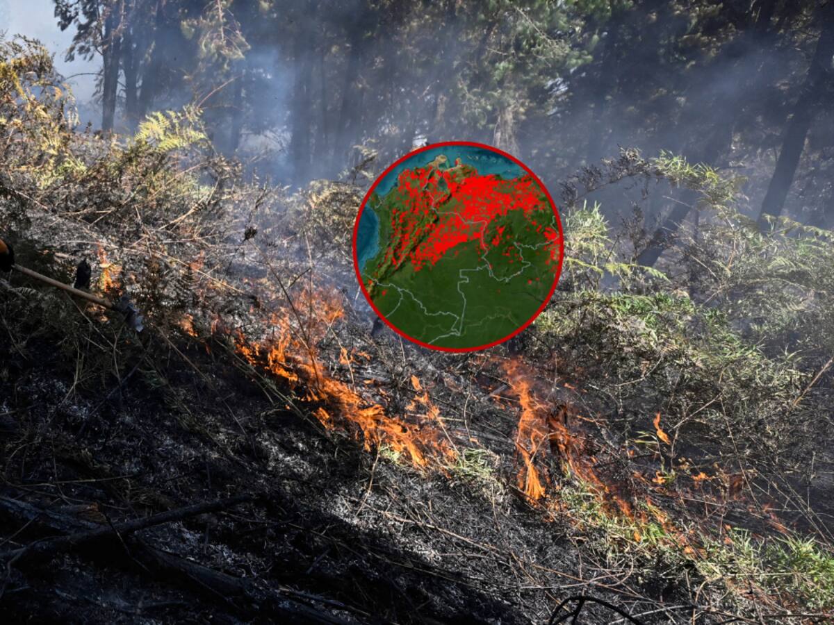 Lista de departamentos de Colombia en alerta roja por incendios de cobertura vegetal