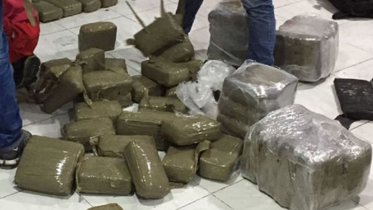 En Yumbo, Valle, hallan cinco toneladas de marihuana