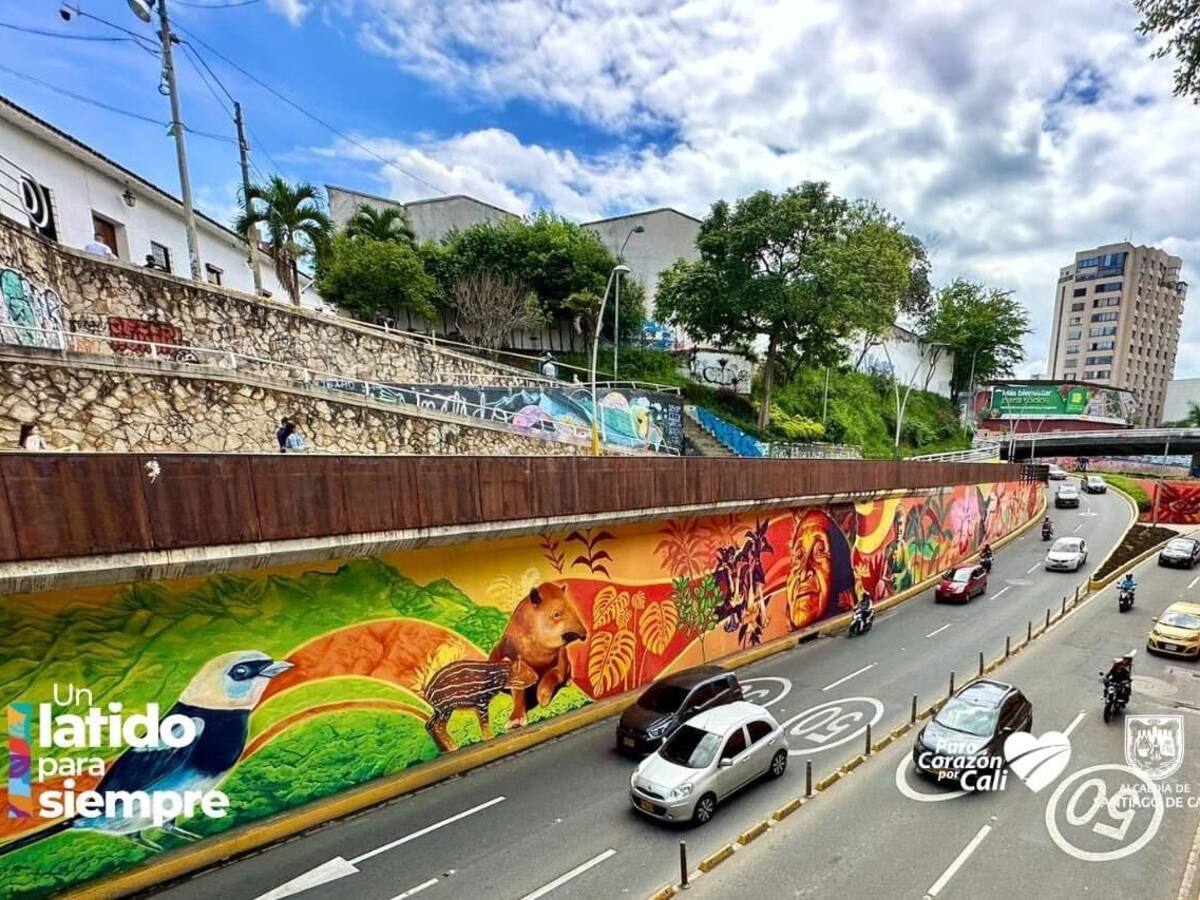Cali: Polémico mural del túnel mundialista costó más de mil millones de pesos