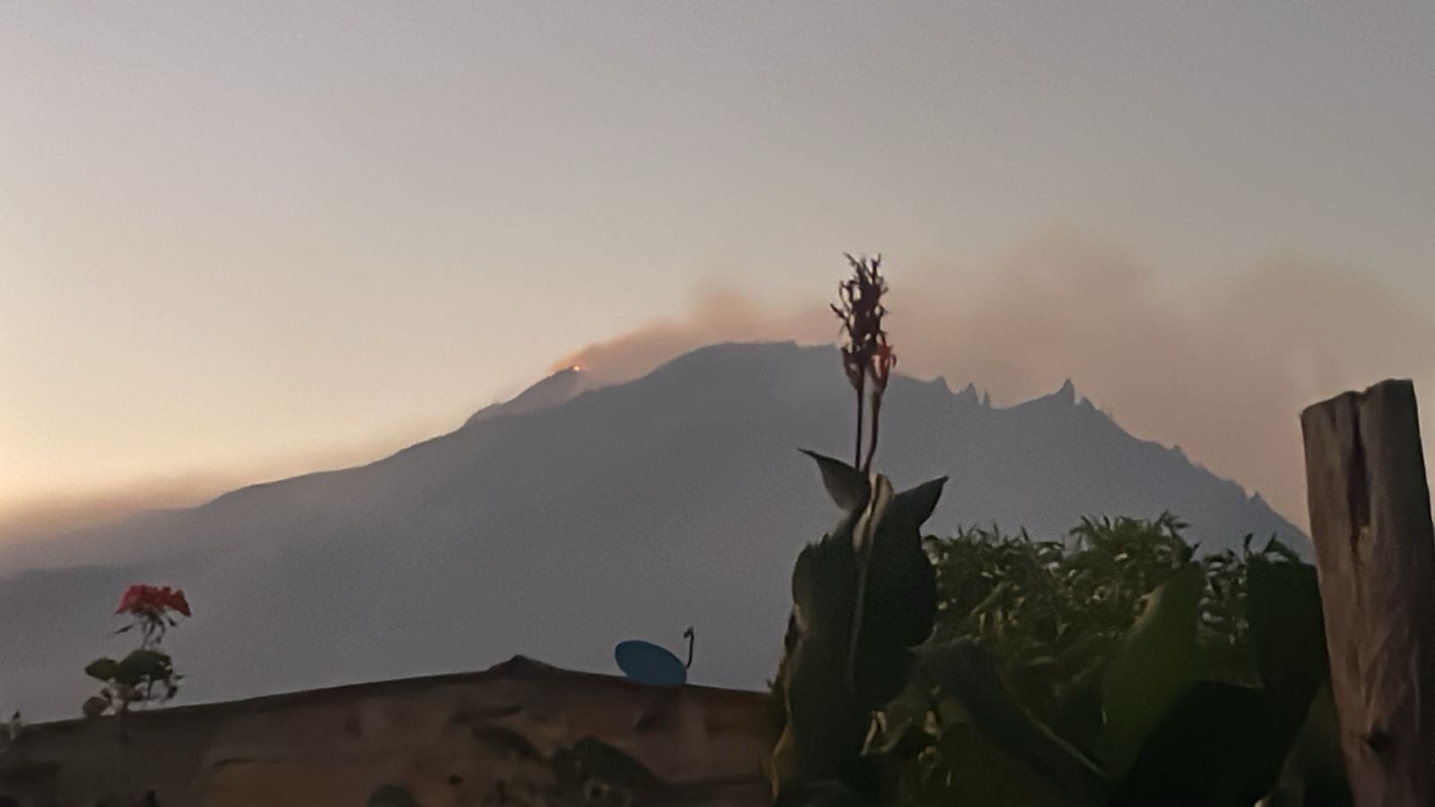 Incendio forestal en Pamplona