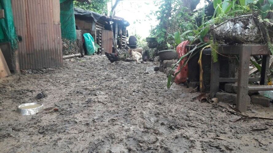 Aumenta cifra de damnificados. Foto: Erika Rebolledo