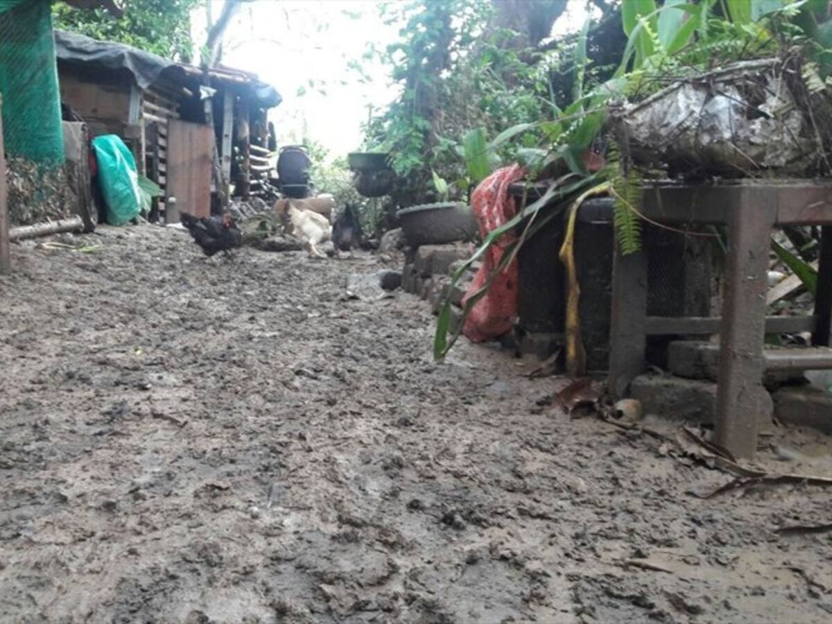 Aumenta la cifra de damnificados por el invierno en Yotoco