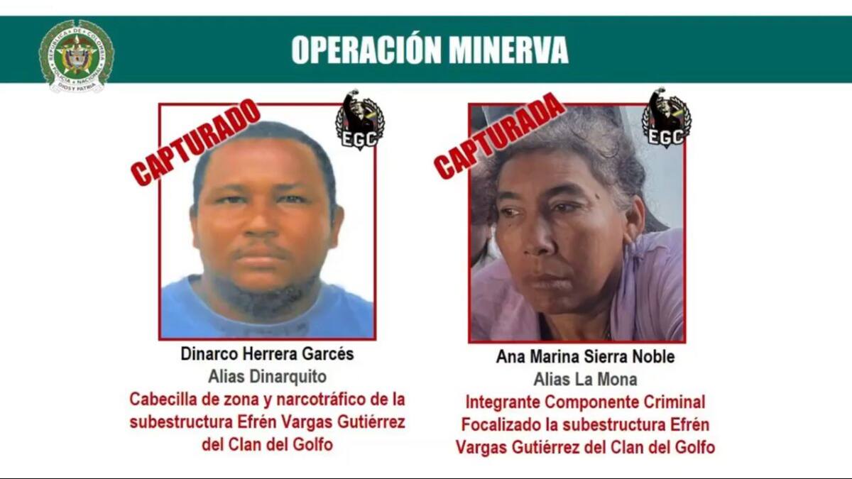 Capturan a cabecilla del Clan del Golfo: implicado en el asesinato de un exgobernador indígena