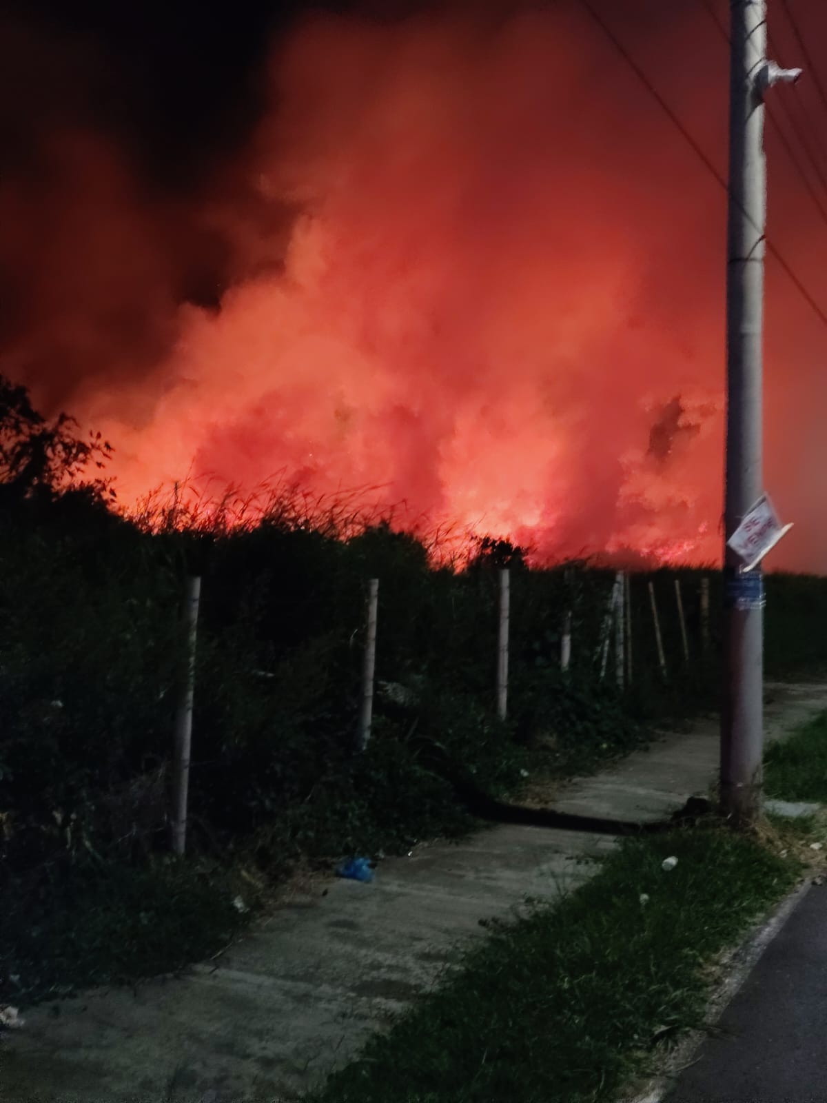 Incendio de cobertura vegetal que se presentó al sur de Armenia. Foto: Cortesía Bomberos Armenia