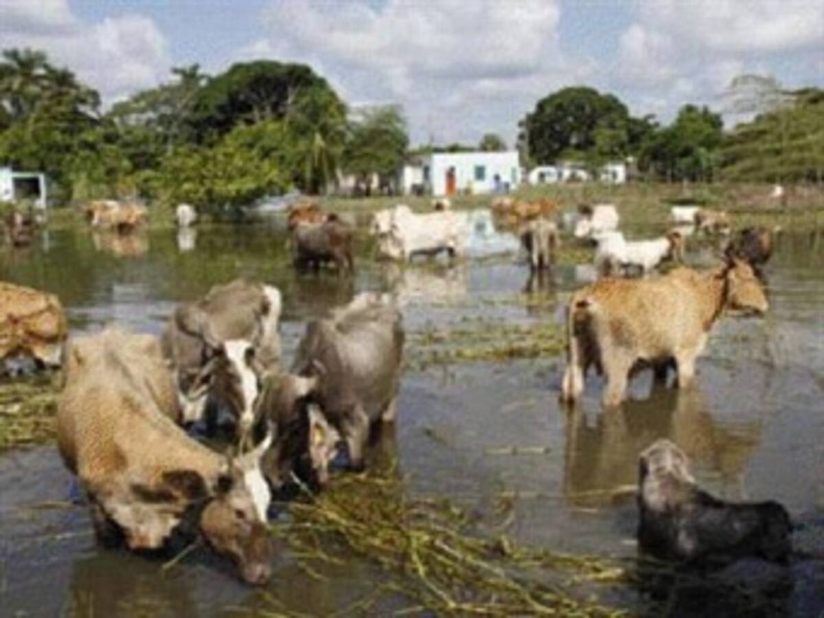 Gobierno destina 14 billones de pesos para reconstruir el país tras ola invernal