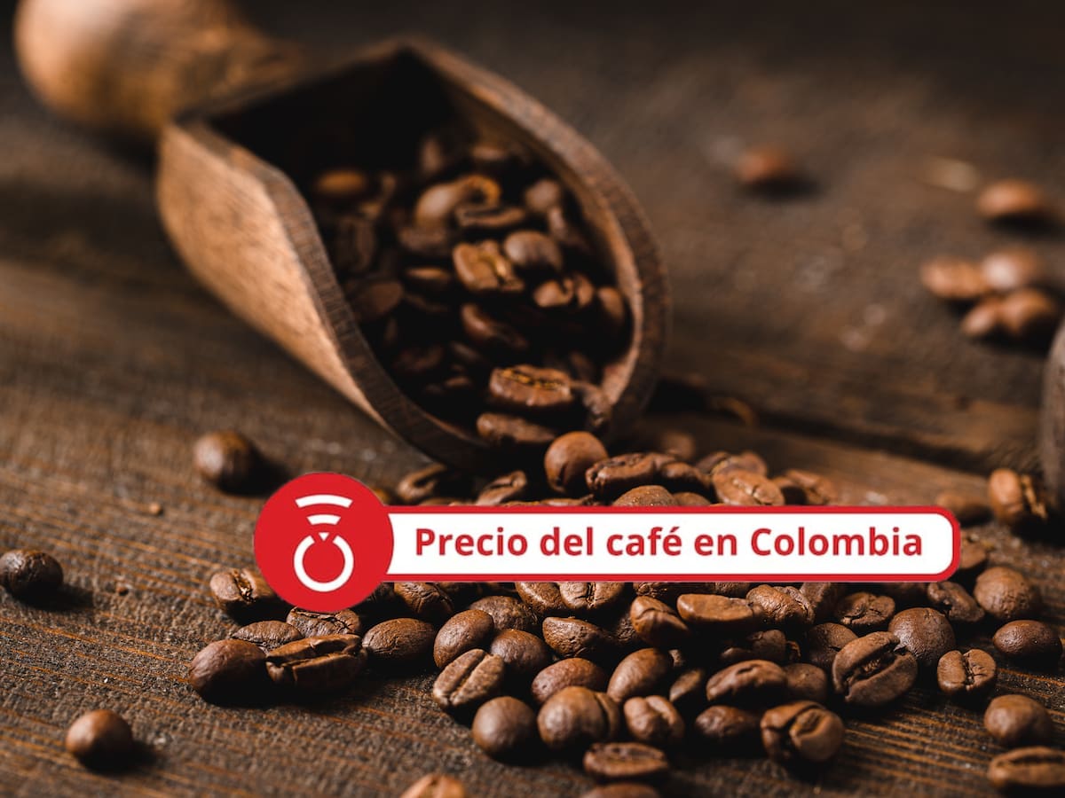 Precio del café HOY 3 de agosto: El grano inició el mes a la baja en este último reporte