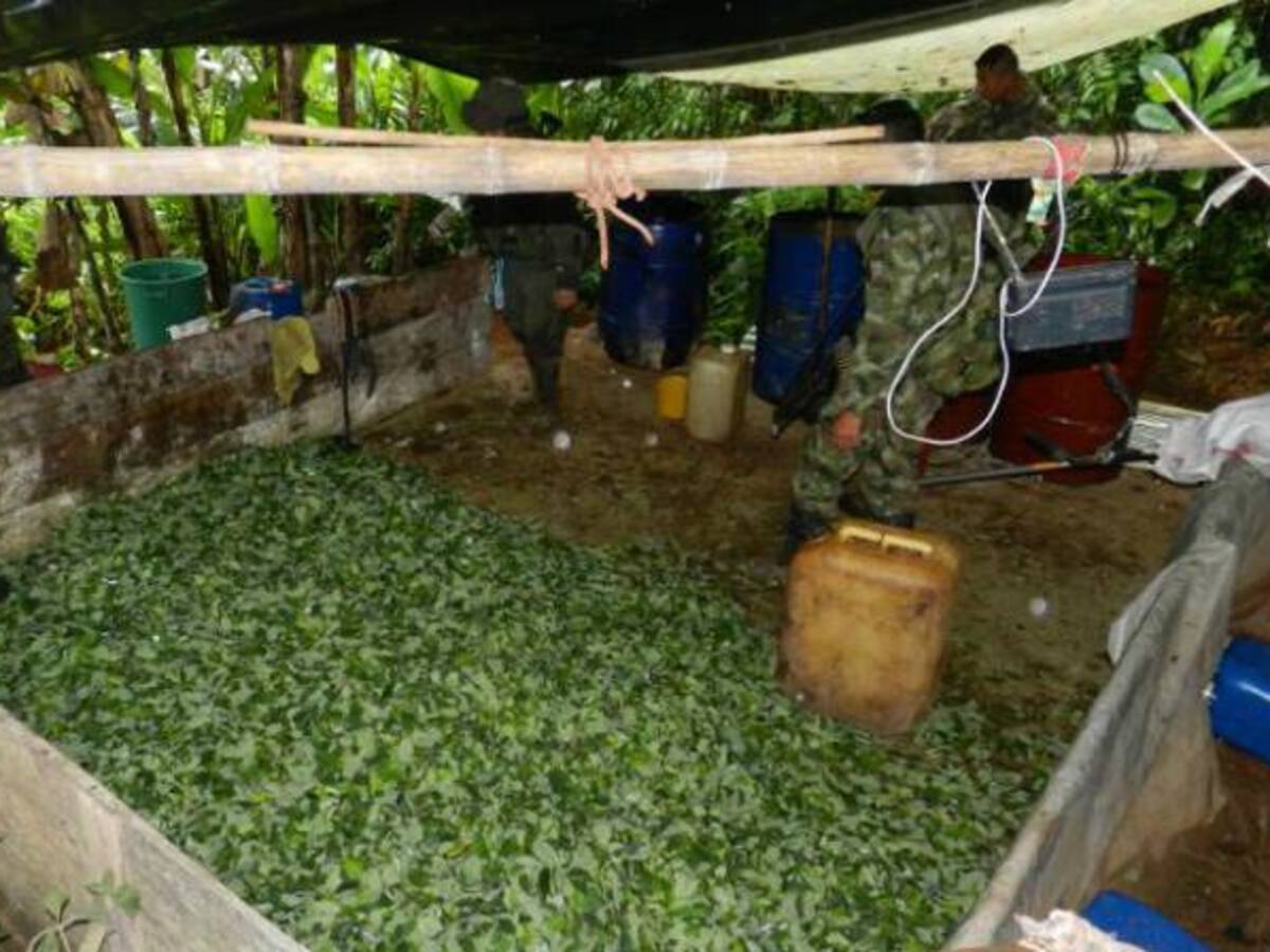 Ejército destruyó laboratorio de coca del Clan Úsuga, en Córdoba