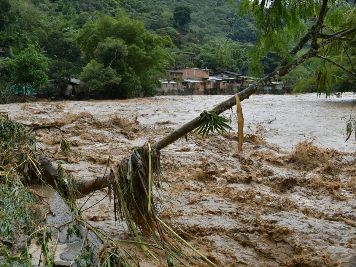 Río San Juan destruyó 14 puentes y afectó a comunidades indígenas en Mistrató