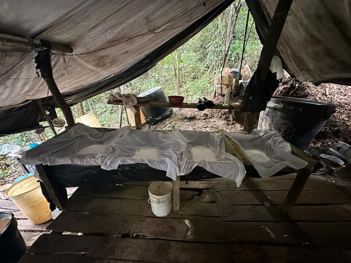 Preocupación en Durania por uso de suelo rural para complejos cocaleros