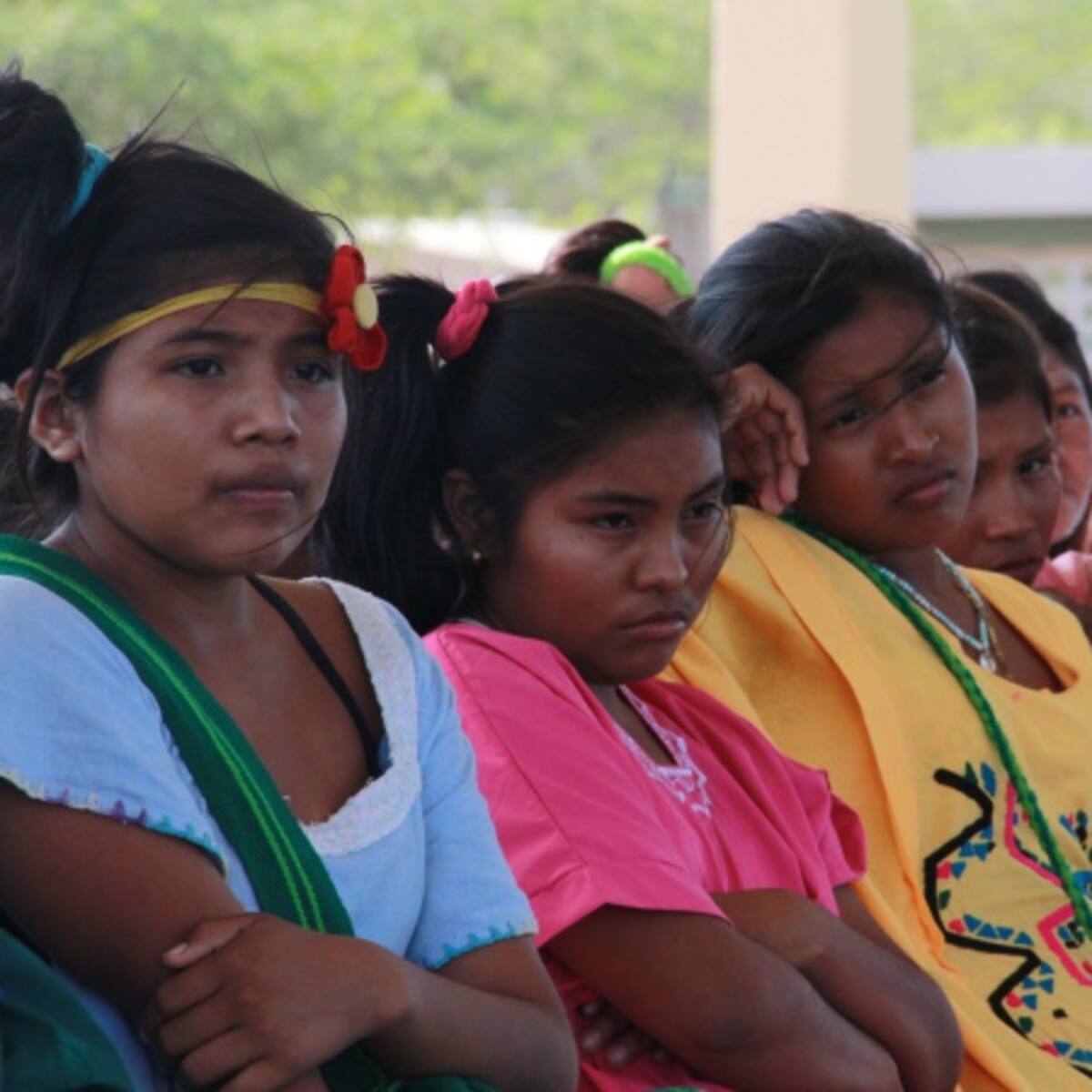 Desde Boyacá llevarán al menos 3 toneladas de papa para niños Wayuu