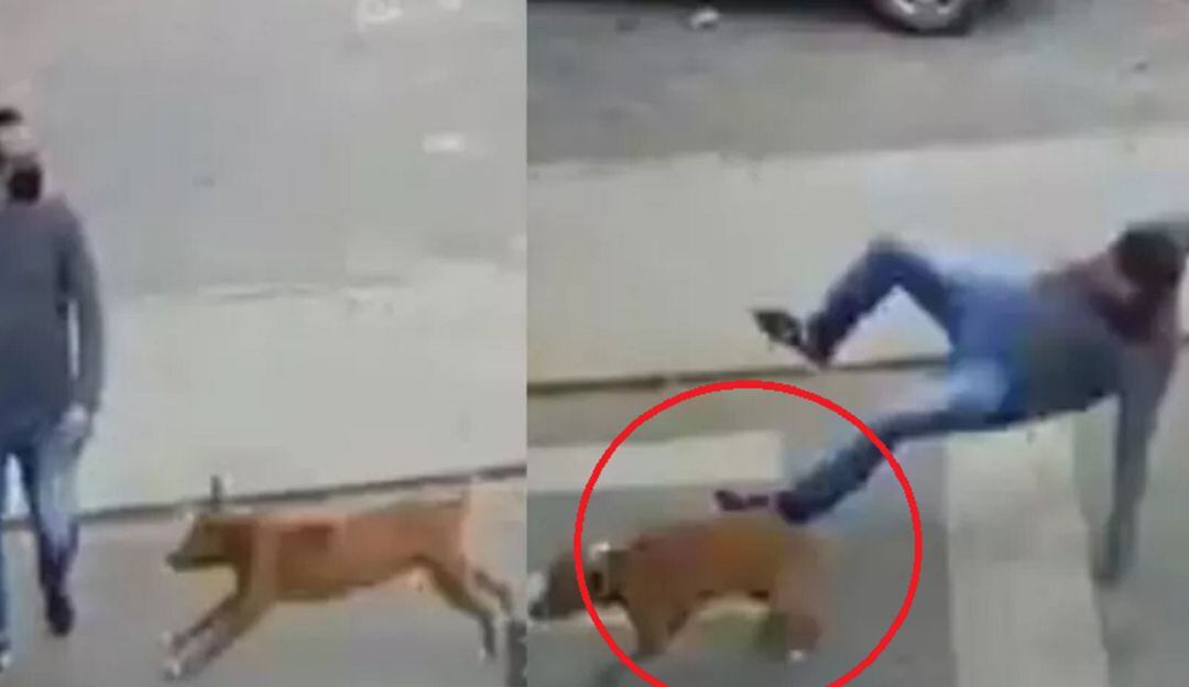 El video en redes se ha convertido en viral y desatado memes y reacciones sobre el inusual hecho.