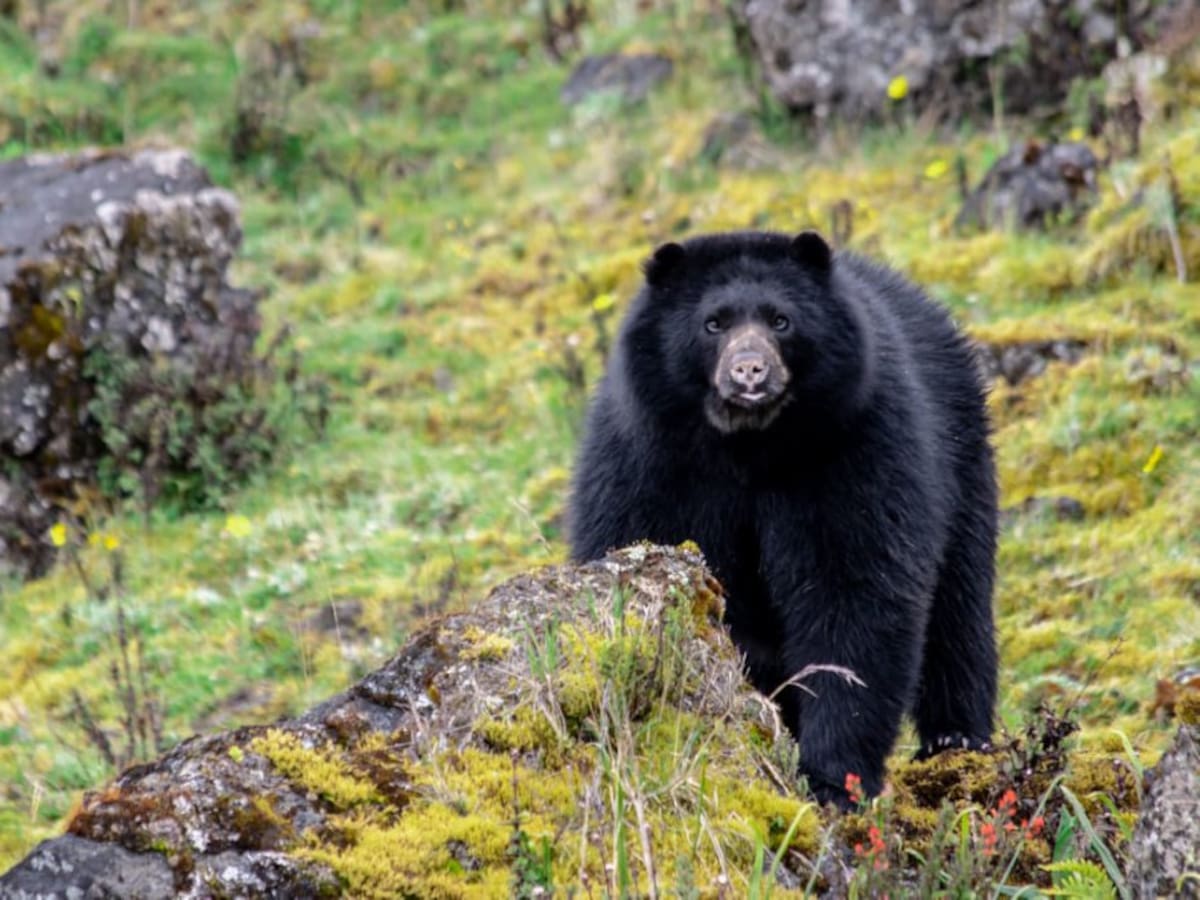 La CAR Cundinamarca abre inscripciones para los Premios Ambientales 2025 ¿Quiénes pueden aplicar?