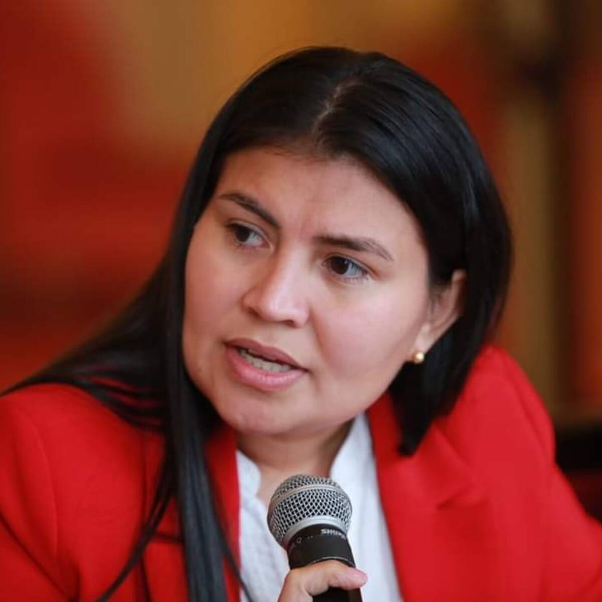 Sneyder Pinilla es la persona que me ayuda a desvirtuar a Olmedo López: defensa de Karen Manrique