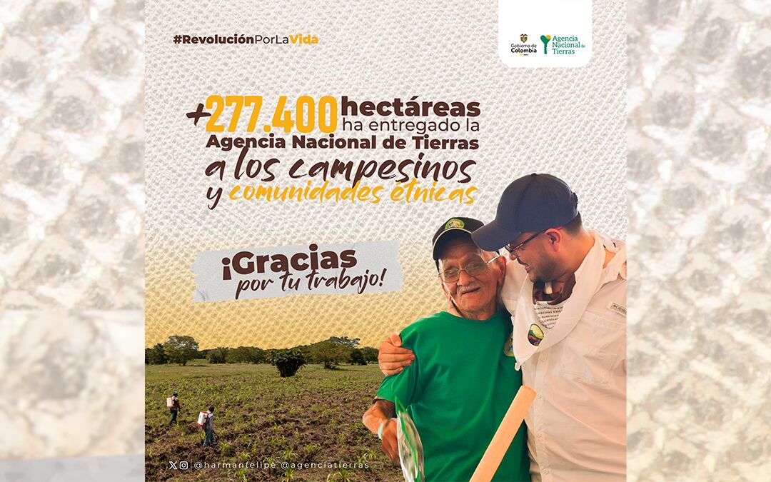 Campesinos de Ayapel desarrollan proyectos productivos con la Agencia Nacional de Tierras