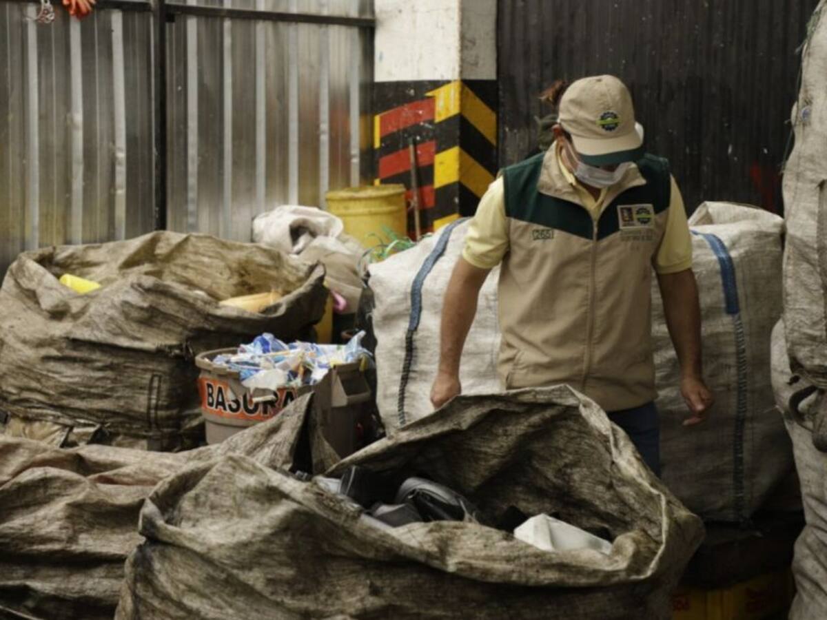 Cierran bodega de reciclaje en Dosquebradas por presencia de plagas