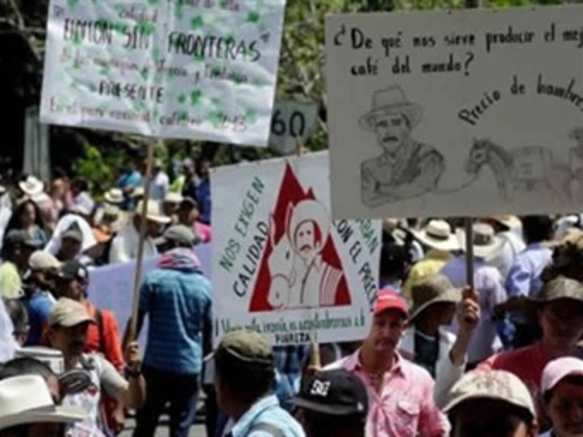 Gobierno no tiene políticas claras direccionadas al campo: Caficultores