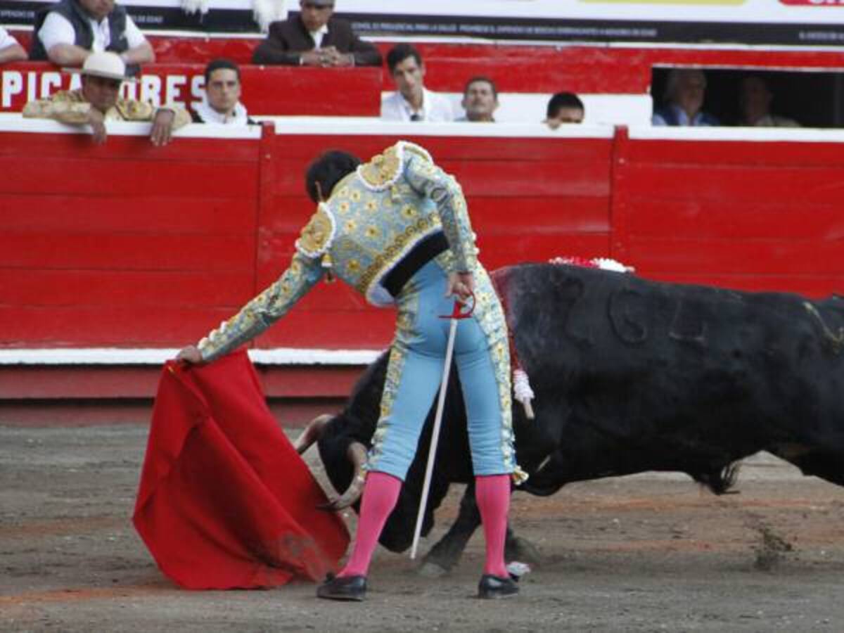 Distrito anuncia acciones judiciales contra la Registraduría por consulta taurina