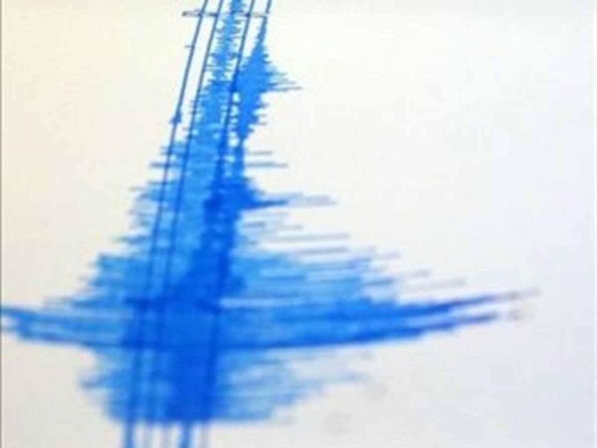 Un sismo de 5,5 grados en la escala de Richter sacude el sur de México