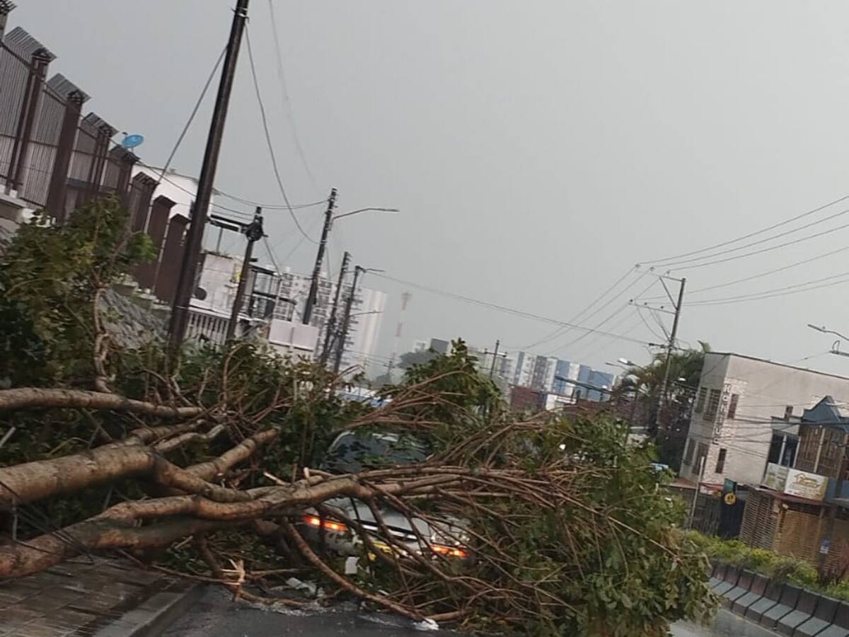 Más de 70 emergencias se registraron por vendaval en Armenia