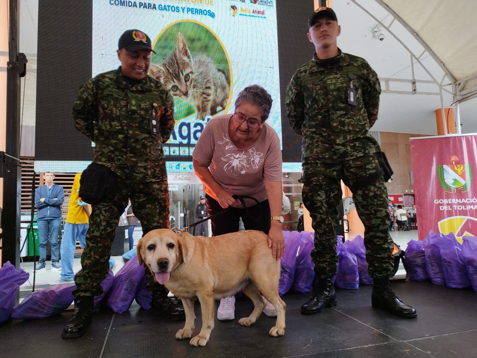 La perrita labrador fue adoptada por una familia de Ibagué