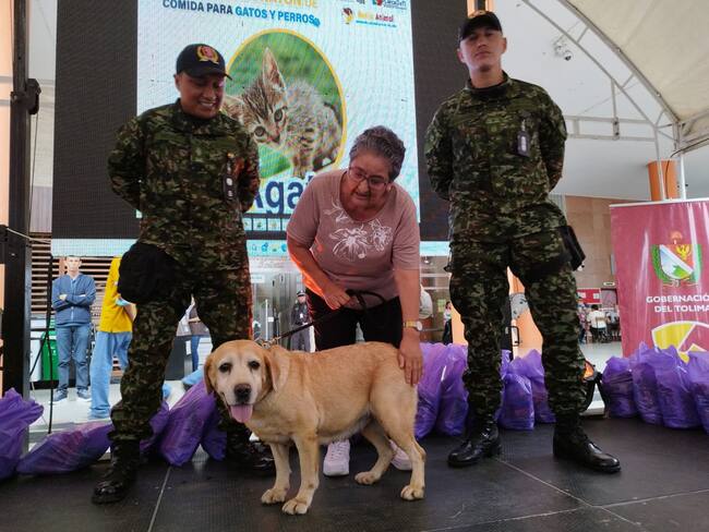 La perrita labrador fue adoptada por una familia de Ibagué
