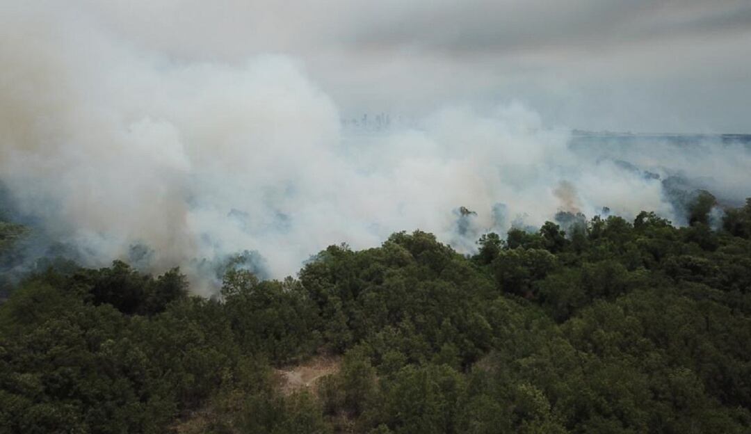 Quemas en el Parque Isla Salamanca