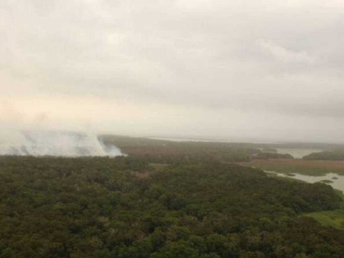 Los incendios provocados en parque Isla de Salamanca