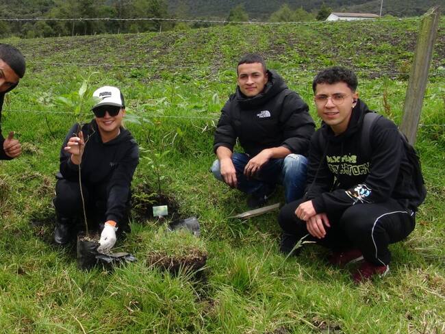 Siembra de árboles.