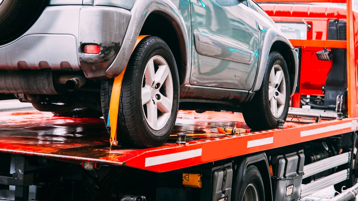 Infracciones que generan inmovilización en 2024: Carros, motos y más vehículos