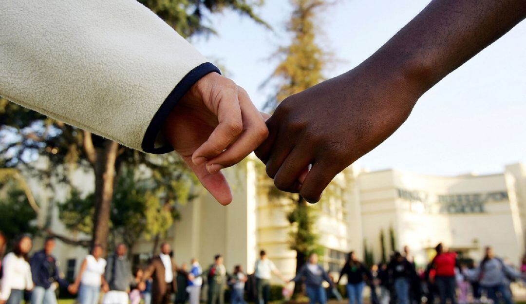 Imagen de referencia. 