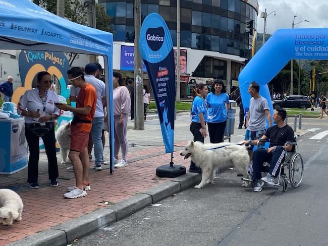 Habilitan espacios para el bienestar animal durante las jornadas de ciclovía en Bogotá