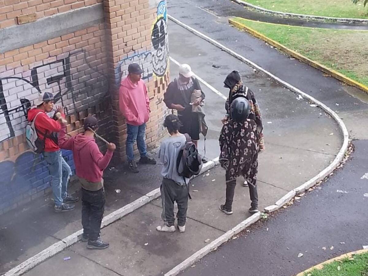 Parque Toledo en Pasto: Comunidad pide intervención urgente