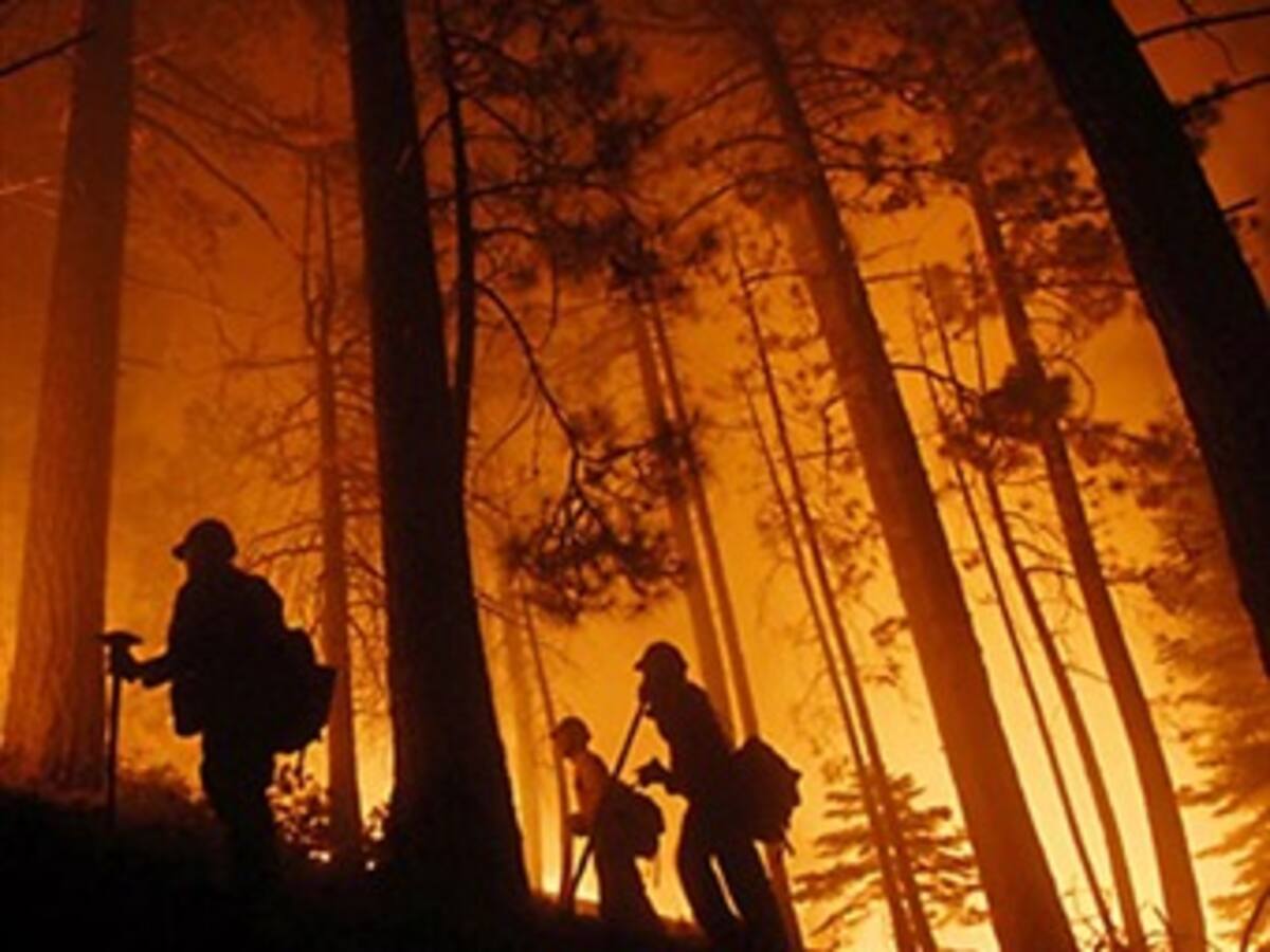 Incendios forestales en Texas causan tres muertos y 34 heridos