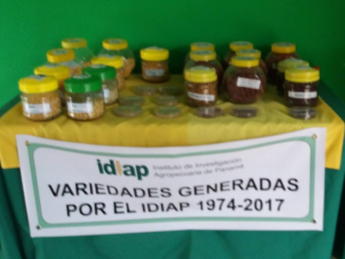Vender a buenos precios, el problema de los campesinos