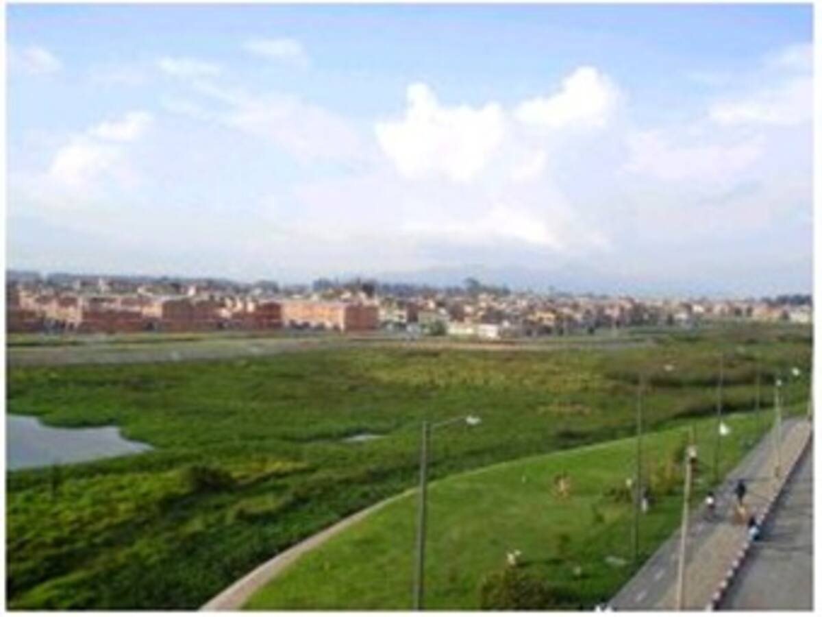 Proyecto de acuerdo amenaza con convertir varios humedales de Bogotá en campos de Golf