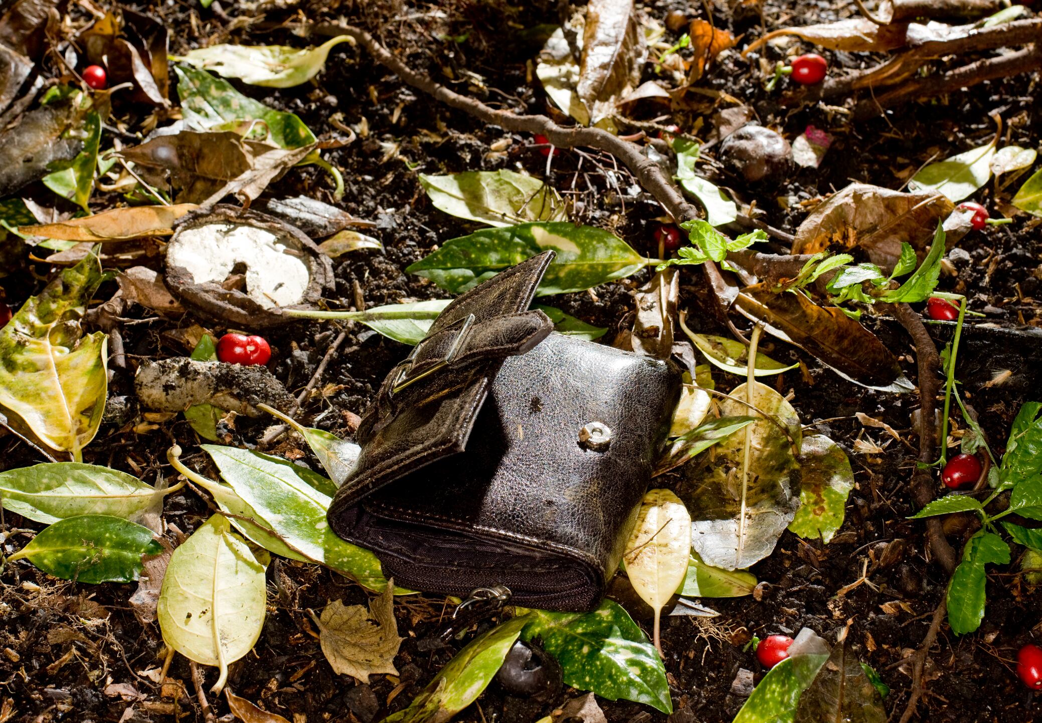 Billetera tirada en un parque que sugiere que fue abandonada o robada (Getty Images)