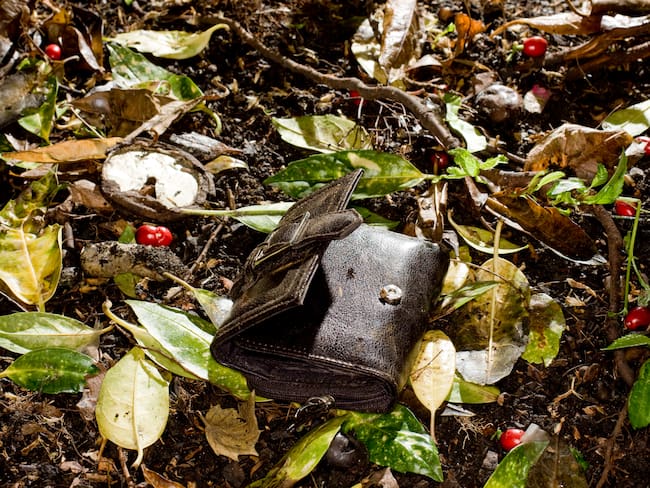 Billetera tirada en un parque que sugiere que fue abandonada o robada (Getty Images)