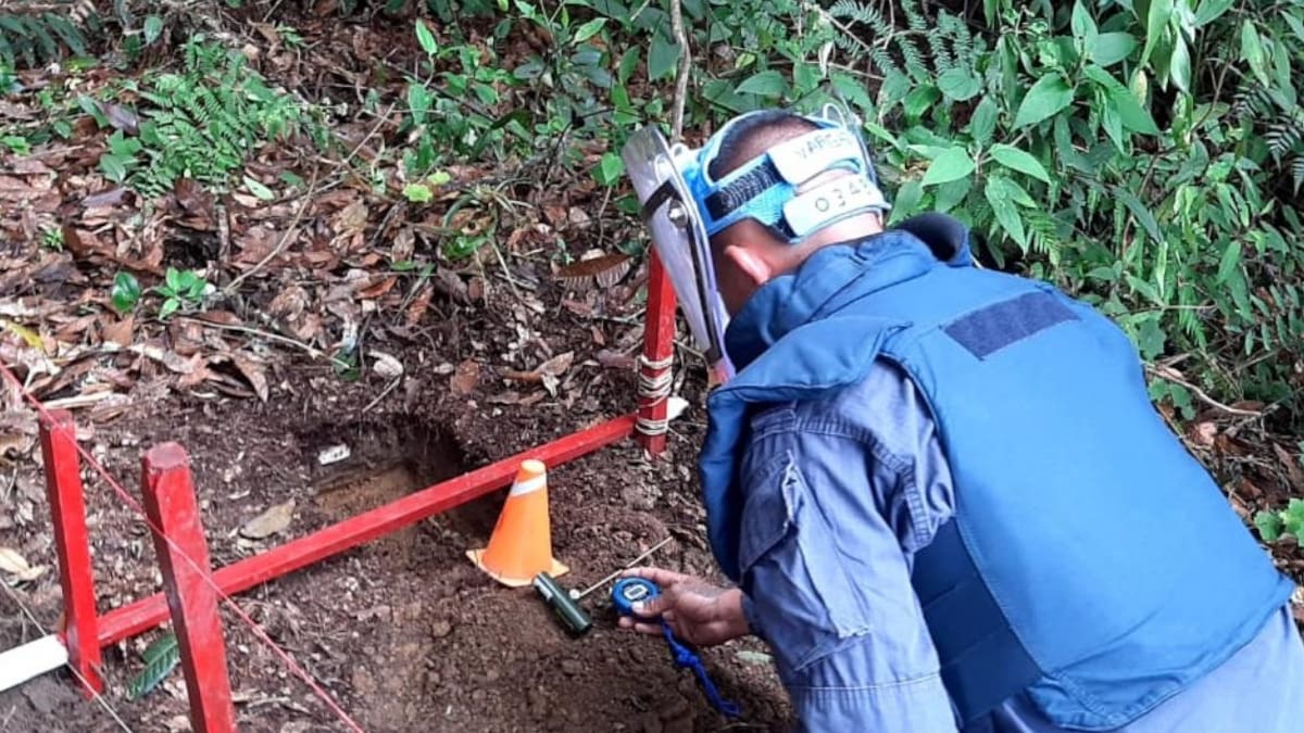 Halo Trust informó que tras amenazas de las disidencias de las Farc su personal está “resguardado”