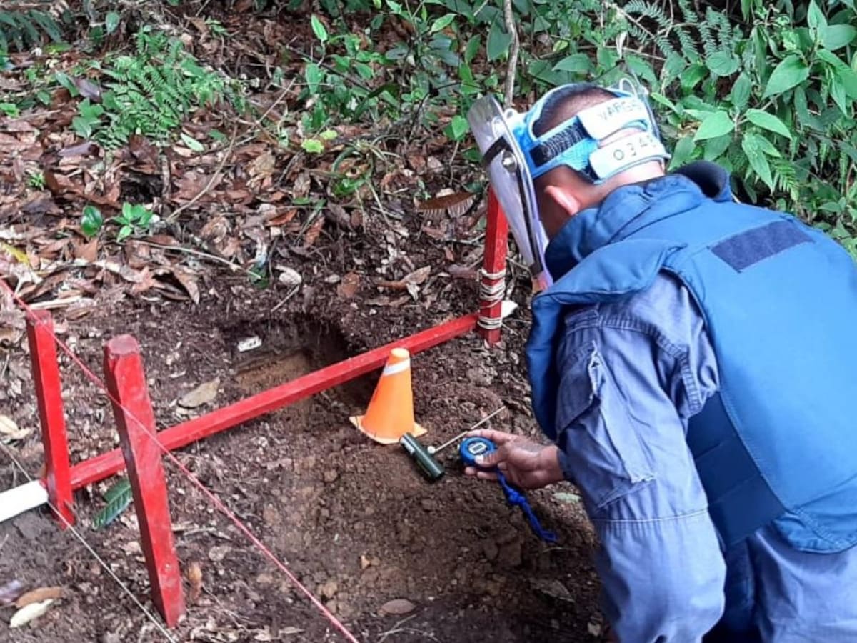 Halo Trust informó que tras amenazas de las disidencias de las Farc su personal está “resguardado”