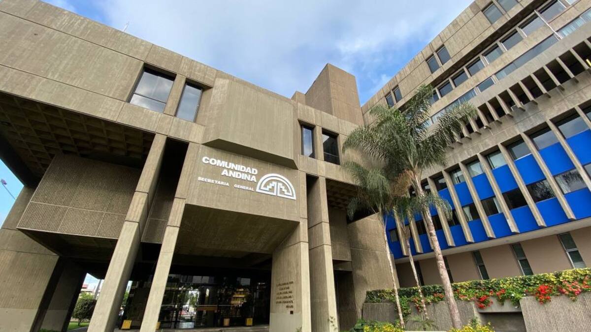 Los países andinos tomarán “medidas concretas y efectivas” contra el crimen transnacional