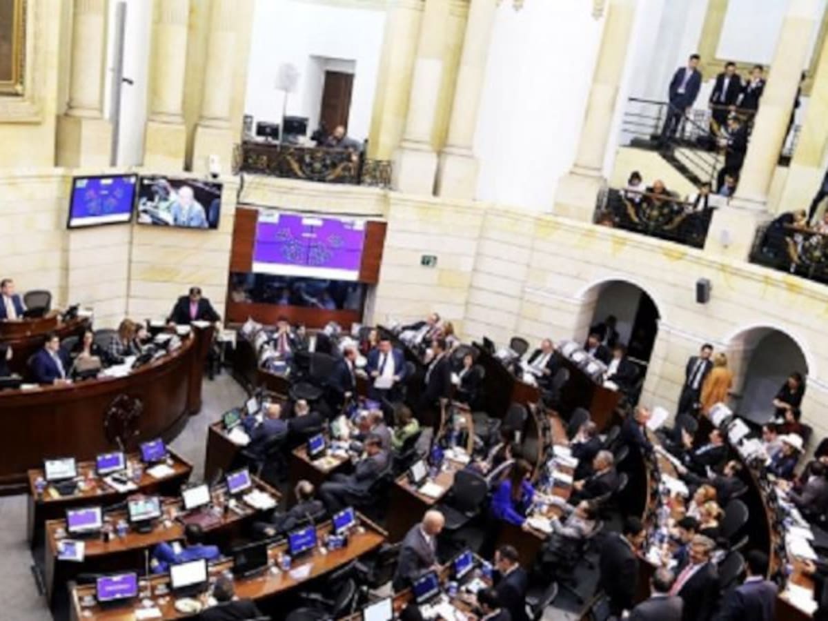Senado deja vivo al Consejo Nacional Electoral