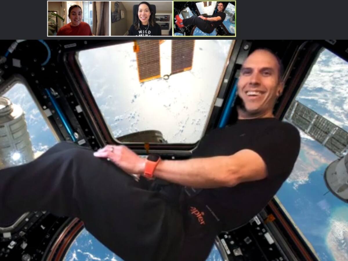 Así podrá cambiar su fondo en una videollamada en Zoom