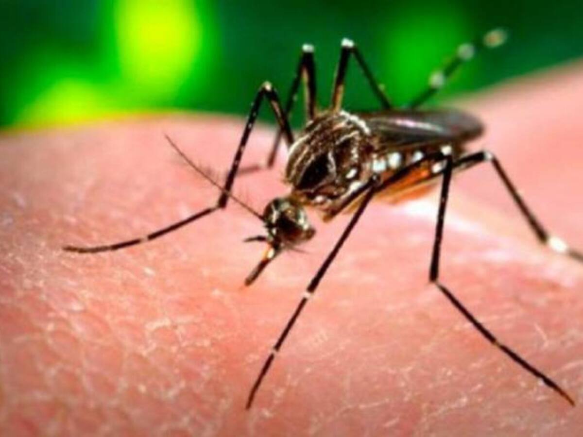 En el Valle 17 bebes con malformaciones congénitas por Zika