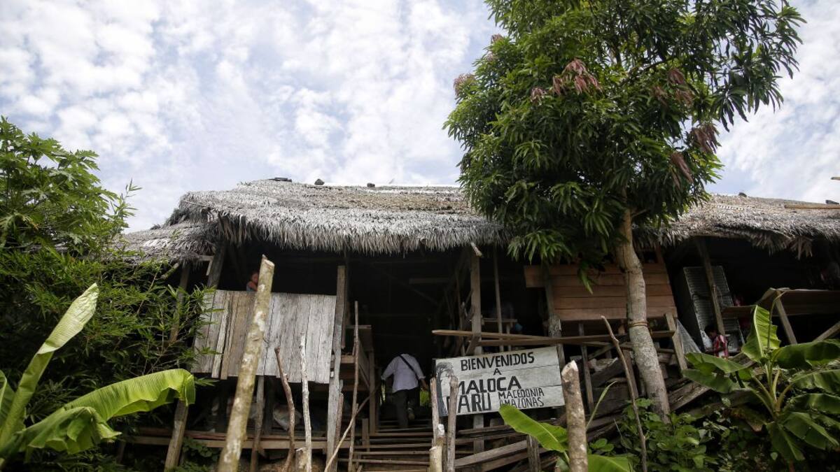 Especial: SOS por el Amazonas